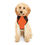 Thumbnail: ZH "Custom Print & Match your Hooman" Pet Hoodie 