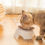 Miniatura: Pet Feeding Bowl 