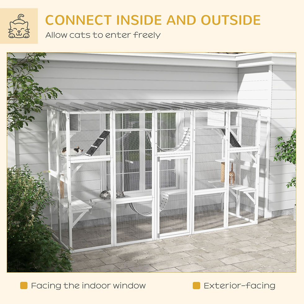 Thumbnail: PawHut Wooden Catio Cat Window Box Enclosure, Outdoor Cat House with Roof & Play