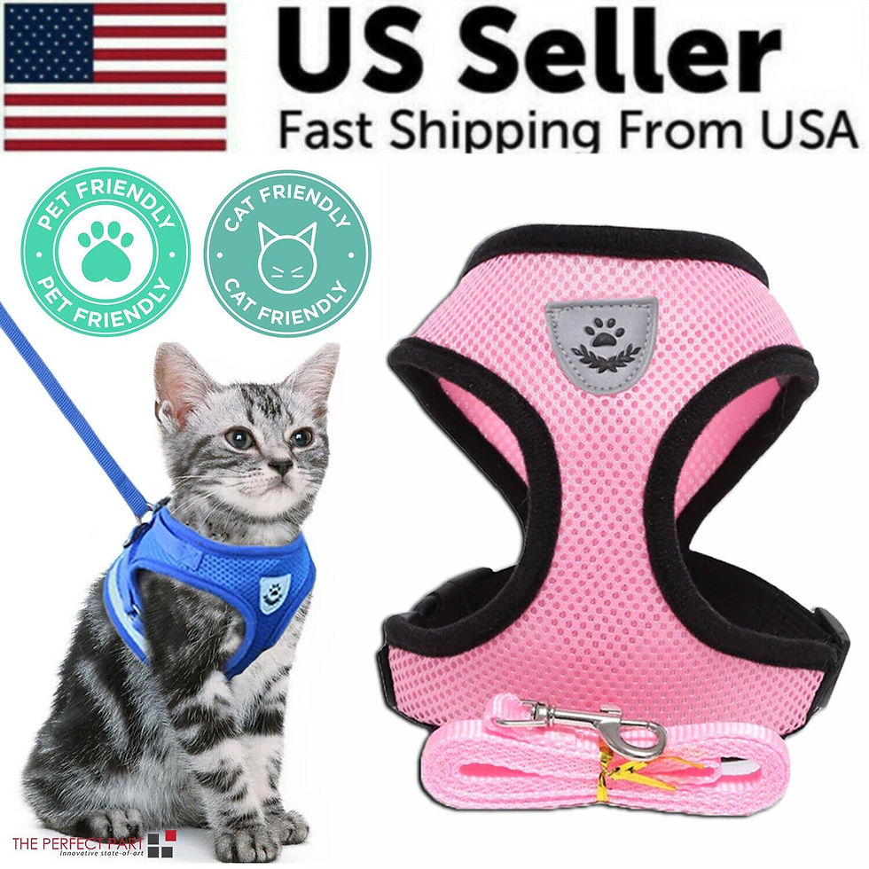 サムネイル： Pet Harness, Adjustable & Leash