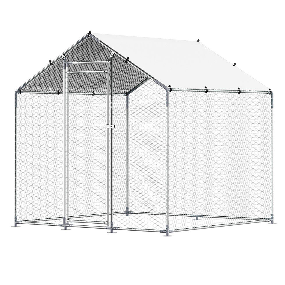 Metal Chicken Coop 6.56x6.56x6.56ft Walk-in Chicken Run with Cover Spire Roof