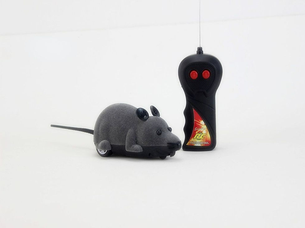 Miniatura: Remote Control Mouse
