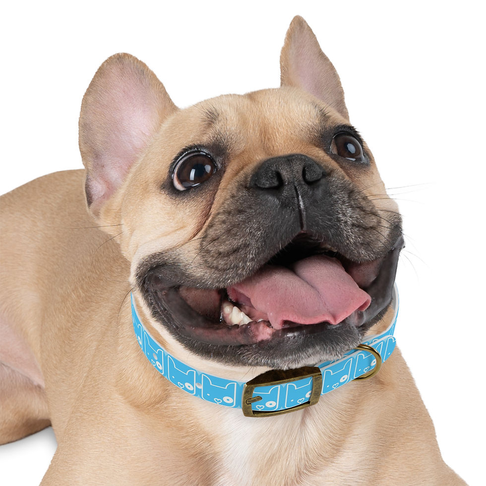Thumbnail: ZOO HOUSE LLC, LOGO, Blue Cute Dog Pattern Collar — Adjustable 