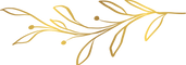 Sanctuary of Embodied Therapies - Leaf Illustration 01.png