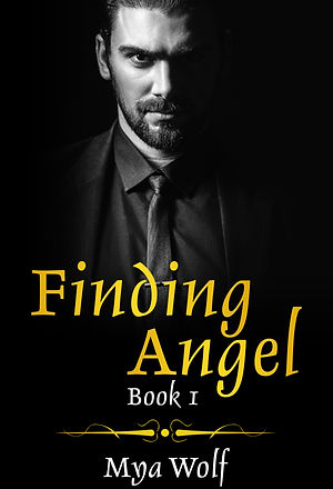 Finding Angel Book 2 Cover.jpg