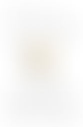 Sick In The Head by Judd Apatow