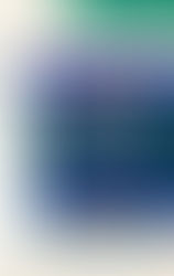 Ransom by Jay McInerney