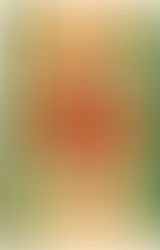 Casino Royale by Ian Fleming