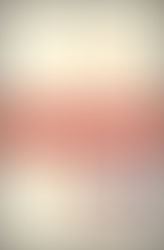 Too Loud A Solitude by Bohumil Hrabal