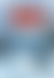 The Santa Klaus Murder by Mavis Doriel Hay