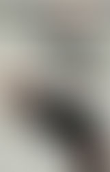 The Case of the Velvet Claws by Erle Stanley Gardner