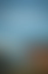 Framed In Cornwall by Janie Bolitho