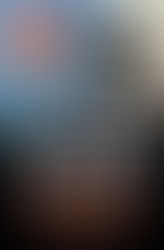 The Perfect Murder by Peter James