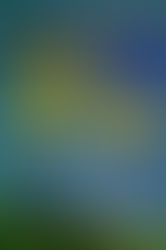 Above Suspicion by Helen MacInnes