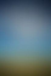 Cold Skies by Thomas King