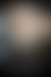 It's A Long Story by Willie Nelson