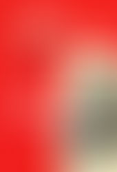 Letty And The Law by Faith Baldwin