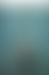 Jaws by Peter Benchley