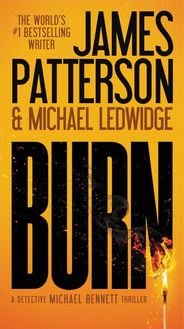 Burn by Michael Ledwidge