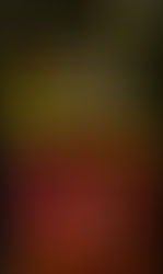 Run From The Hunter by Keith Grantland