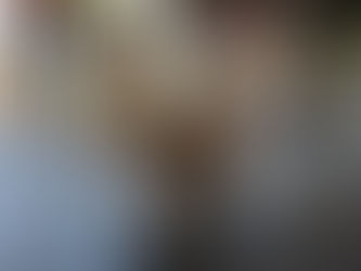 4 perritos encontraron un nuevo hogar lleno de amor gracias a nuestra Jornada de Adopción. Entre ellos