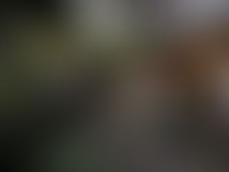 ゆるやかにつながっていく