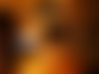 今週の楽しみなこと