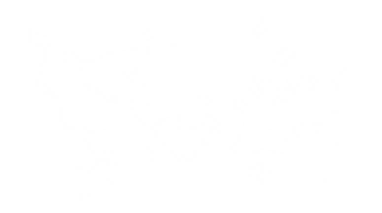 branche de cerisier