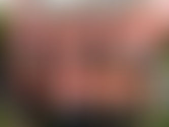 COUNTY CROSS COUNTRY CHAMPIONSHIPS