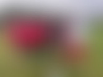 Chasing hills and prizes....lots of CAC success this week!