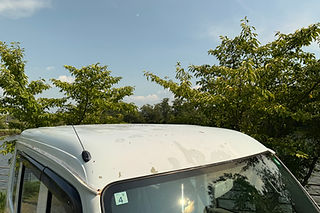 IMG_1750.JPG