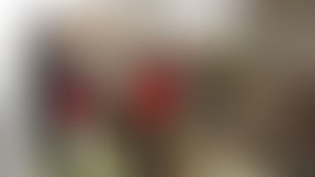 お庭の木の剪定を助っ人しました!