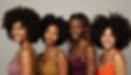 freepik__a-group-of-diverse-shades-of-black-men-women-with-__3919.jpeg