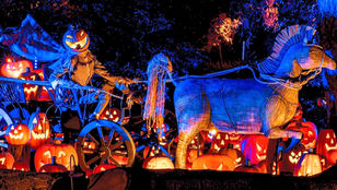 Top 10 Pumpkin Patches in Los Angeles (Ranked)