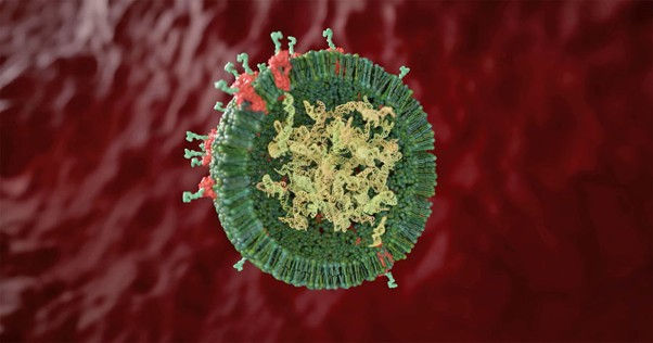 The "Post-Stem Cell" Era: Why Exosomes are Dominating the Market