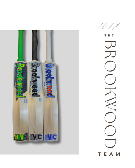 How to choose the perfect cricket bat: A guide to selecting the right bat based on size, weight etc.