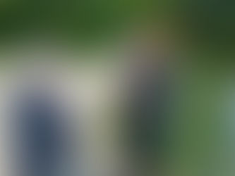 6 Tipps zum richtigen Entenfüttern