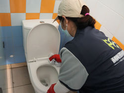 清潔馬桶