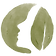 olive_green.png