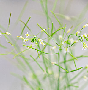 2025-08-21_11-37-DSC_7155-377-BOKU-Luiza Puiu-2.jpg