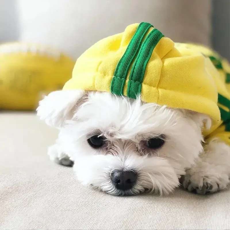 Miniatura: Macacão Pet Confortável para Cães Pequenos 