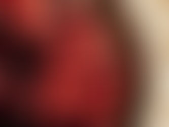 What’s In a Cranberry?