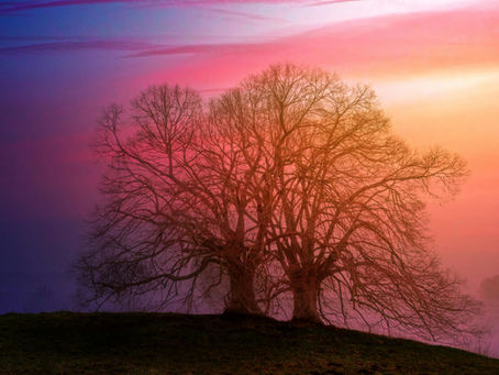 Let’s Enjoy Miracles This New Year