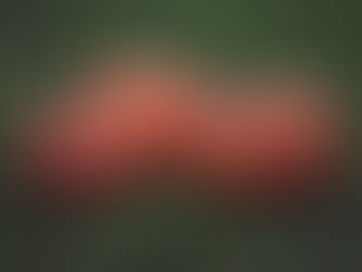 A Spine-Chilling Halloween