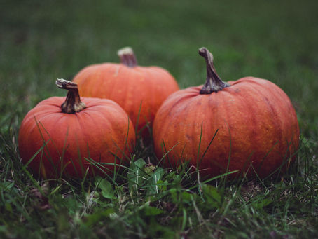 A Spine-Chilling Halloween