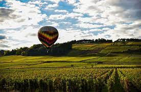 Southern Rhone explorations 
