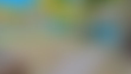 From Jungle to Gem – Overgrown Garden Fully Transformed