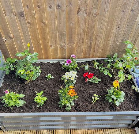 Flowers planted and metal garden bed assembled.