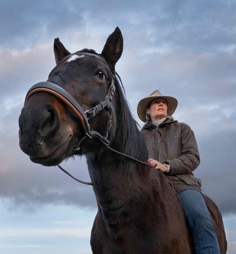 Riding and Horsemanship Lessons