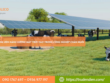 Ứng dụng đèn năng lượng mặt trời vào trong công nghiệp chăn nuôi